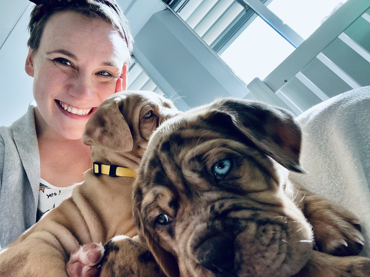 SarahKessling's tweet photo. What conference has a puppy 🐶 room?!? It’s the best! @NFT_NYC #Londonconference2022 @CHarroeArts https://t.co/NsPQpXGwfc