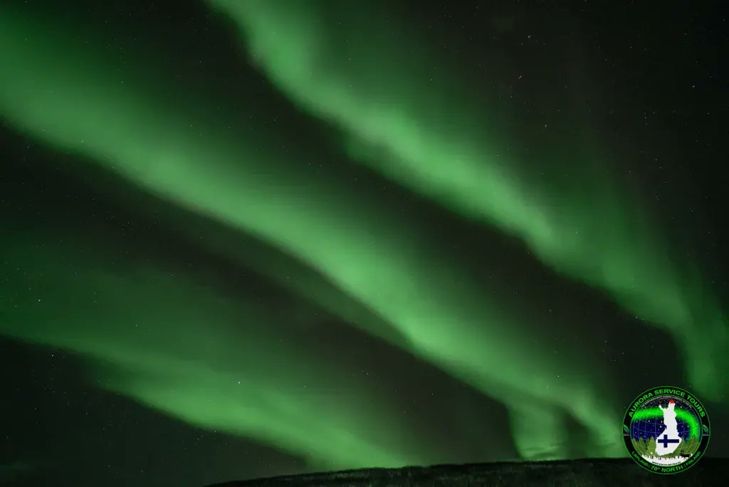 tours_aurora's tweet photo. You wait for an aurora and three come along at once :)
Join us under the northern lights this winter! Northern Lights holidays starting from only €995! Visit https://t.co/VElXeZ6kJL
#exploreutsjoki #lapland, #finland, #discoverfinland #discoveringfinland #ig_finland https://t.co/tSh6E1N0Xo