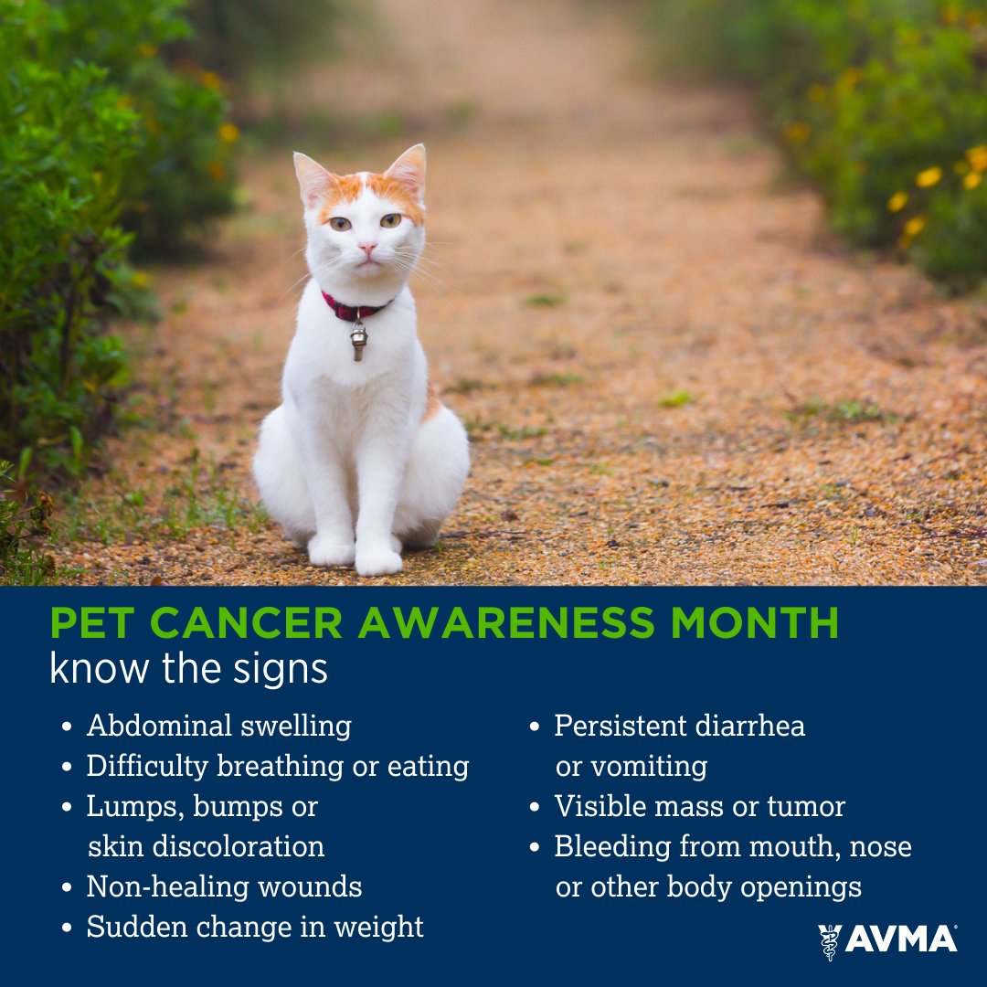 Tweet by AVMA (American Veterinary Medical Association)