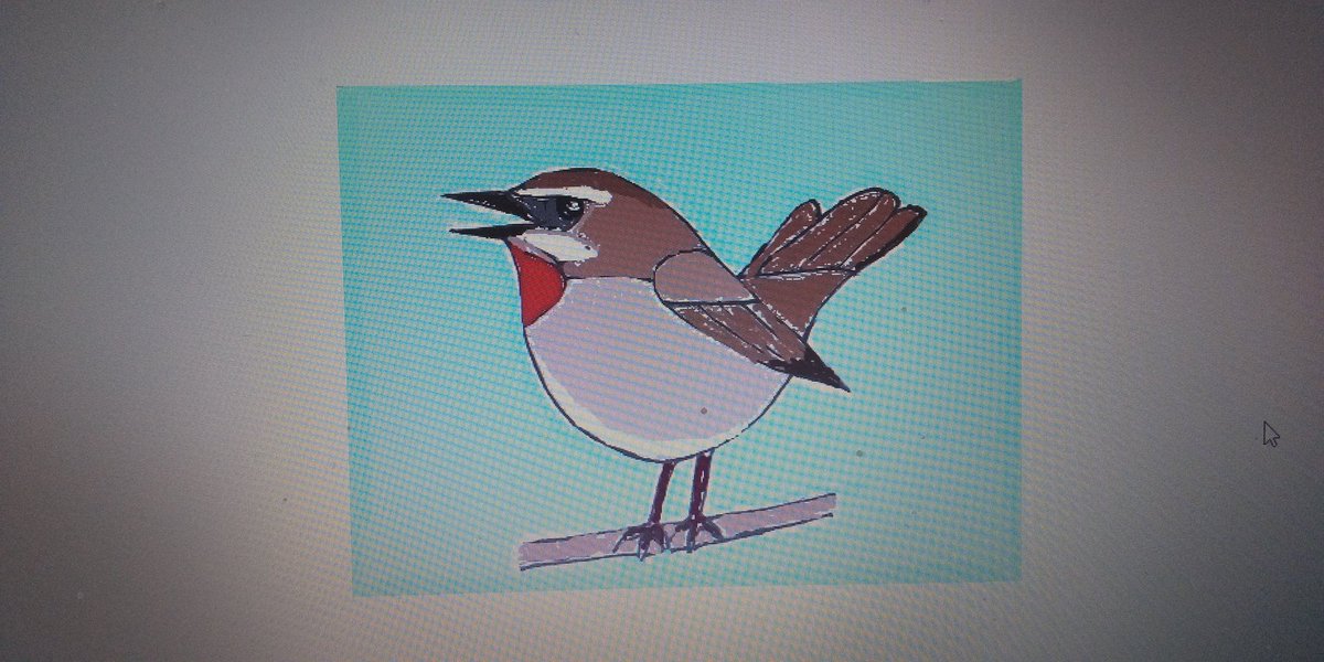 最大級 原画イラスト ミニ屏風 クジャク 孔雀 野鳥 アート 写真 Popconmexico Com