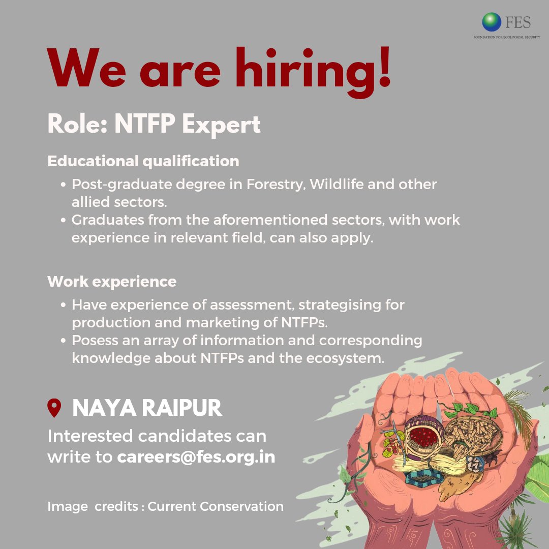 fesforcommons's tweet photo. If you want to improve the livelihood opportunities of Non-Timber Forest Produce (NTFP) collector Households in Chhattisgarh, this is for you.
Read more here- https://t.co/rdQMJ6Rmei
#NTFP #ForestCommons #Job https://t.co/YnFwx5Lk5Y