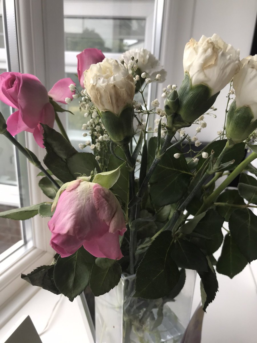 mandyb1422's tweet photo. @efloristflowers , had some flowers delivered as a cheer up from my lovely sister , after one day they were ready for the bin. Sister complained new bunch sent,no better roses all brown and dried . What was meant to be a lovely surprise has turned out to be poor service. https://t.co/pYf3SbwOnB