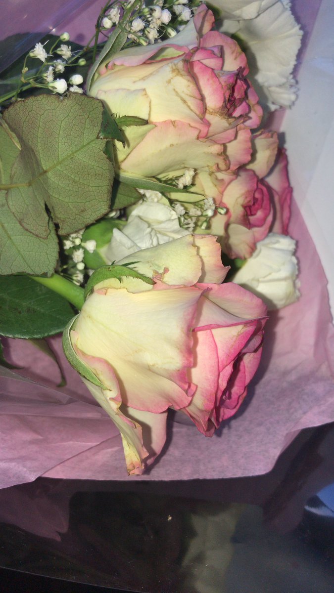 mandyb1422's tweet photo. @efloristflowers , had some flowers delivered as a cheer up from my lovely sister , after one day they were ready for the bin. Sister complained new bunch sent,no better roses all brown and dried . What was meant to be a lovely surprise has turned out to be poor service. https://t.co/pYf3SbwOnB