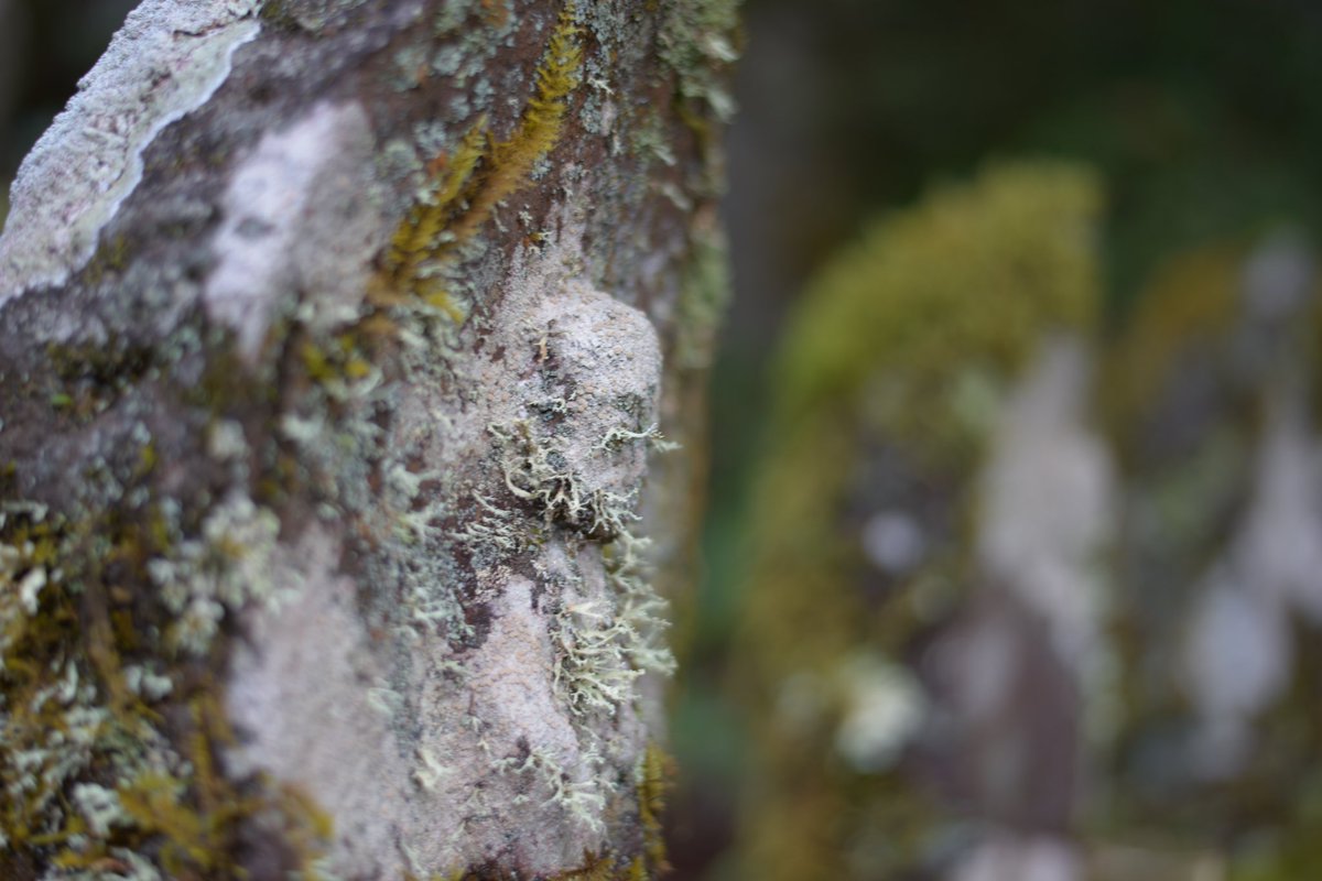 立派なツケマしてるお地蔵さんを発見