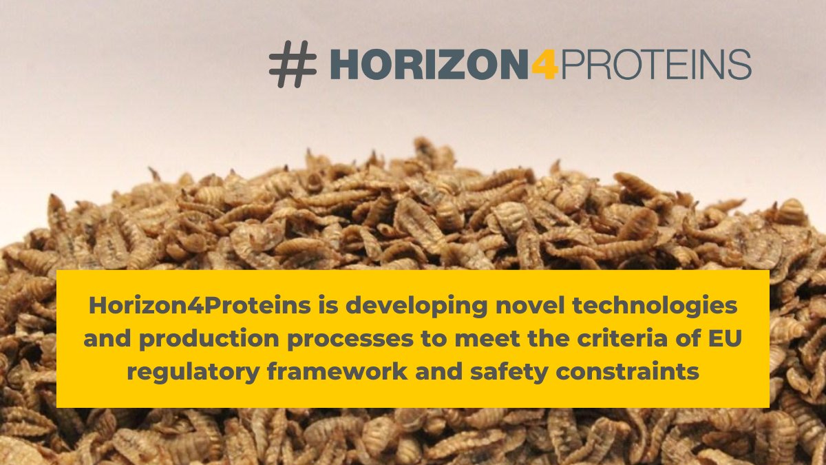 EU's food regulation criteria are strict, and #Horizon4Proteins is working to comply to all safety and health criteria of alternative proteins. Visit our websites to discover how. 
#nextgenproteins #ProFutureEU #SmartProteinEU #susinchain #COP27 #food4climatepavilion @susinchain