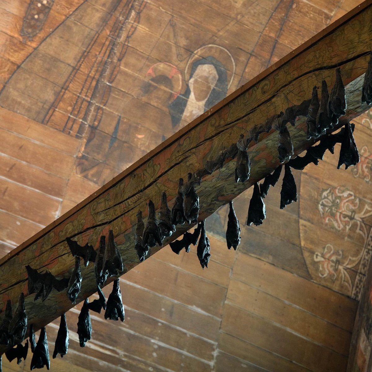 Oude Kerk Amsterdam (@oudekerkams) on Twitter photo Opening this Saturday, 5 November: Ibrahim Mahama - Garden of Scars.
We are proud to present the first solo show of <a href="/ibrahim_mahama/">Ibrahim mahama</a> in the Netherlands.
Be one of the first to see how Oude Kerk is transformed into his Garden of Scars.
Tickets: tickets.oudekerk.nl/en/tickets Opening this Saturday, 5 November: Ibrahim Mahama - Garden of Scars.
We are proud to present the first solo show of <a href="/ibrahim_mahama/">Ibrahim mahama</a> in the Netherlands.
Be one of the first to see how Oude Kerk is transformed into his Garden of Scars.
Tickets: tickets.oudekerk.nl/en/tickets