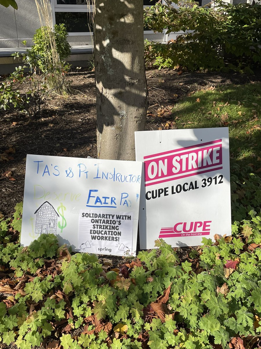 Margaret Anderson Kilfoil (@meakknits) on Twitter photo 