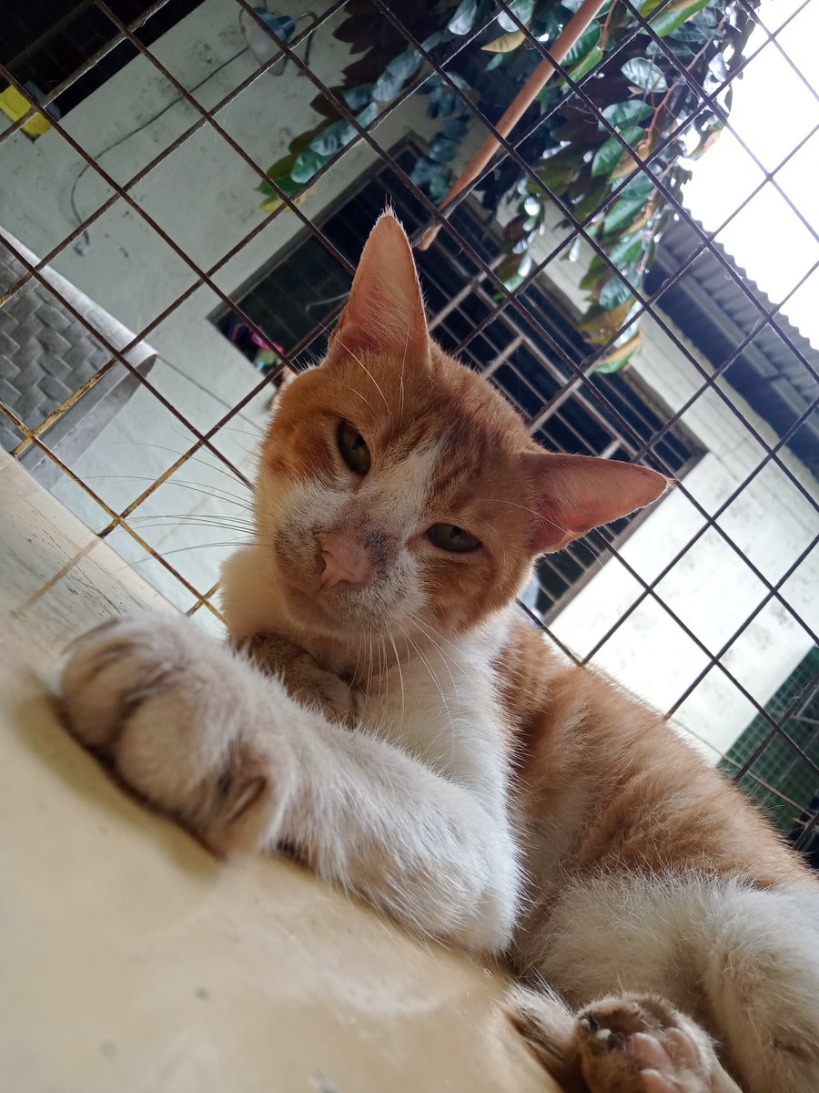 The world is big and there's so much love to give and receive. Help them see that. 🤎🥹🙏🏽