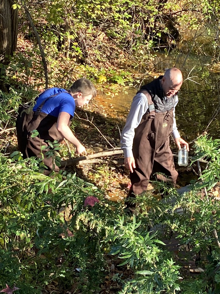 NorthScience's tweet image. On Thursday Mr. Silvestri’s Ss explored the creek on campus using waders to gather water samples in order to try and view living microorganisms 🦠 #mtpssci #mtpspride