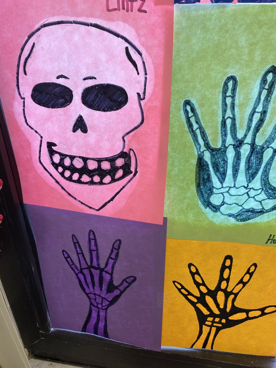 AlliSony1616's tweet photo. Pharmacology students creating X-rays to supplement the musculoskeletal chapters. They also make my window look amazing😉 @RISD_Healthcare @RISD_CTE https://t.co/3kW9UlkXYW