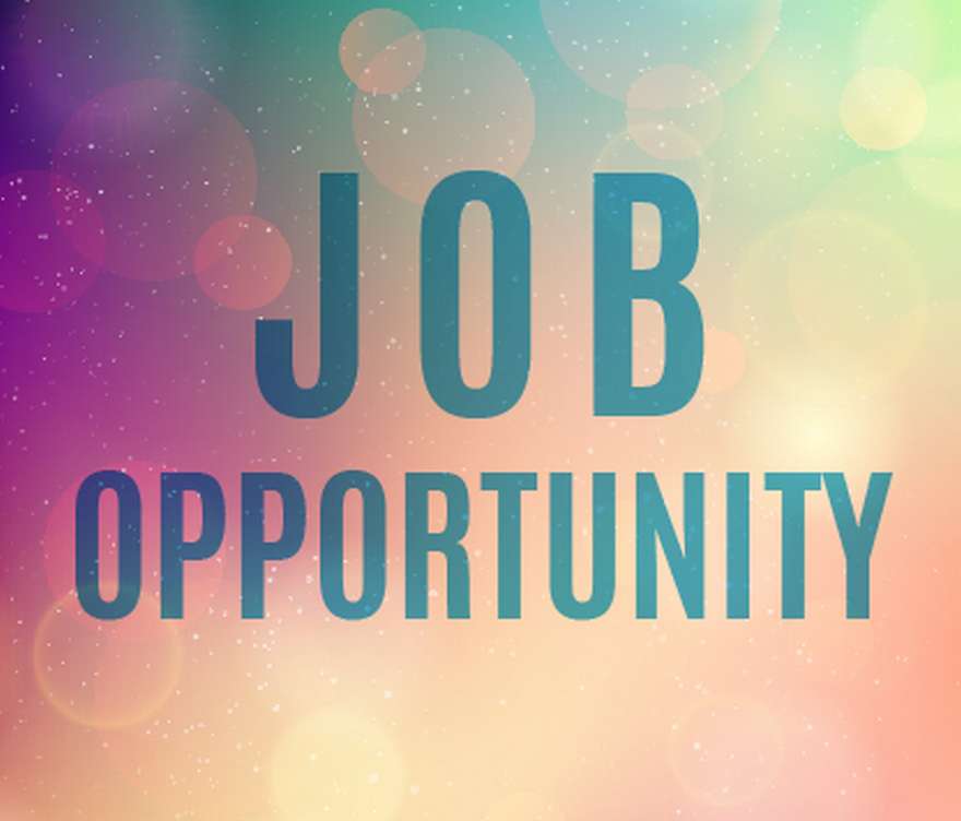 midlothianchamp's tweet image. 🤍 job opportunity 🤍

💙re-tweet 💙

We are currently looking for a participation assistant for midlothian champions board! 

You will be working along side the project co-ordinator to support care experienced young people to make sure their voice is heard in the care system 🤩