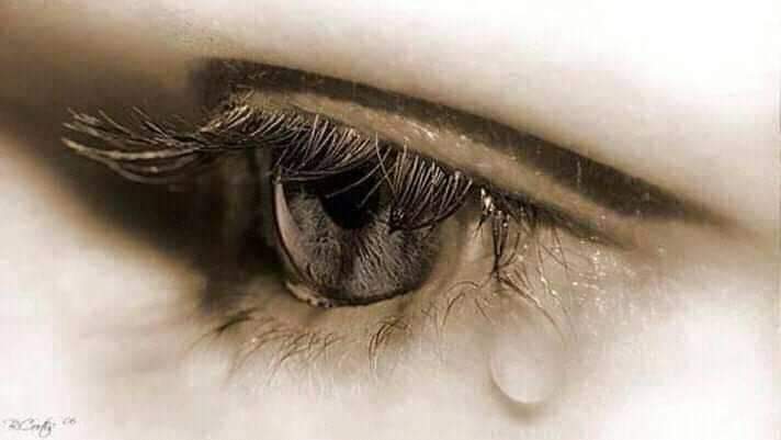 3Snbr's tweet photo. یونہی تو نہیں مجھکو ہیں محبوب یہ آنسو
سدا رہتے ہیں تیرے ہجر سے منسوب یہ آنسو

کسی کی راہ کو تکتے، جب آنکھیں خشک ہو جاٸیں
تو لے جانا مجھ سے تم، جو ہوں مطلوب یہ آنسو
#اردو_شاعری
#اردو_زبان https://t.co/CjkWunRUAd