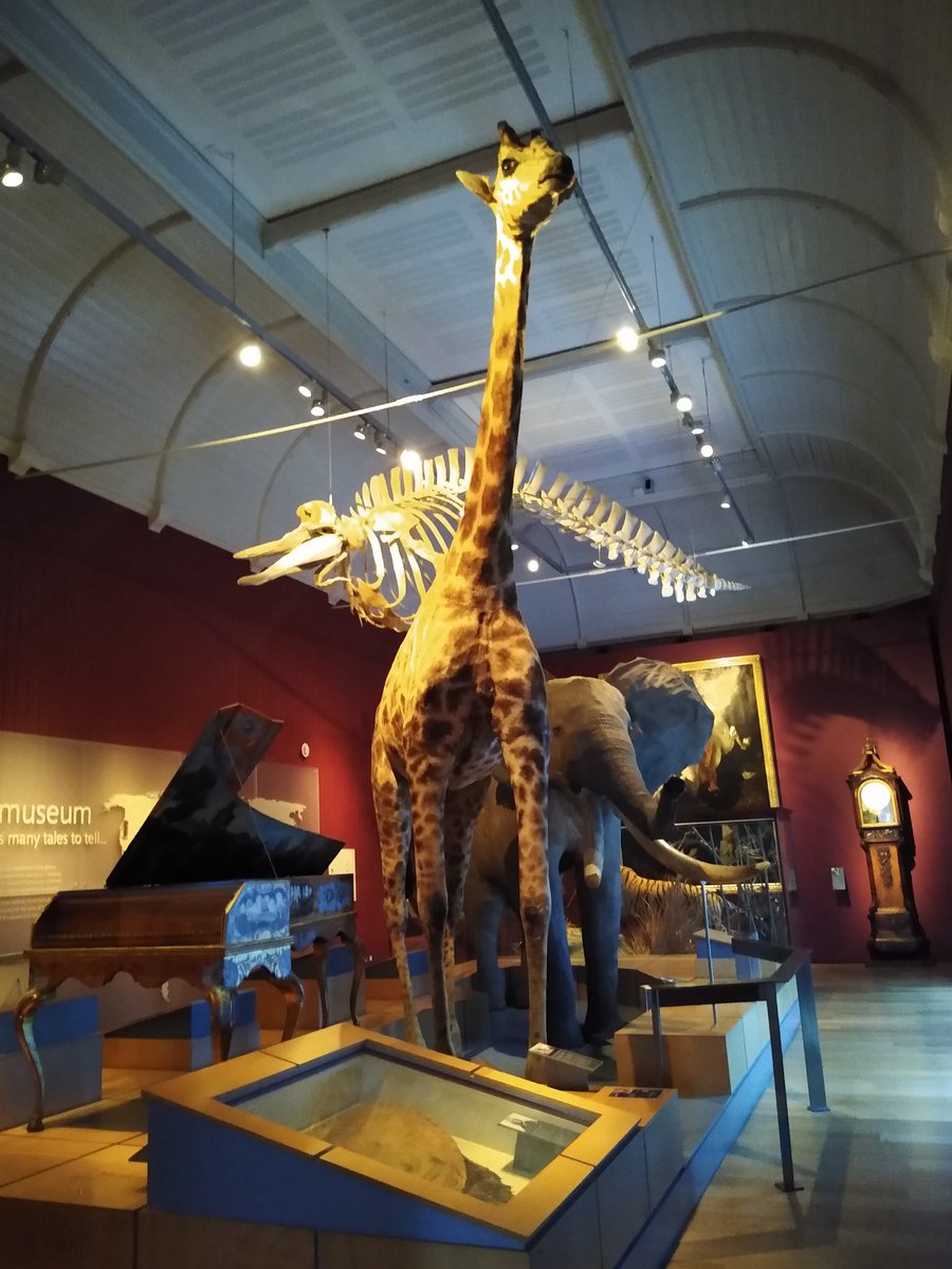 @MarkKelson.bsky.social tweet media