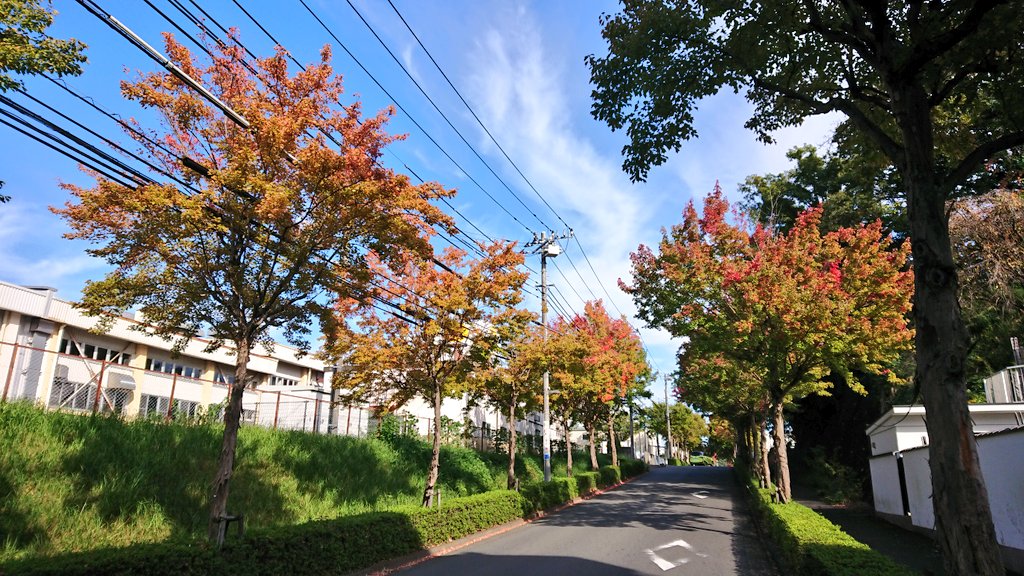 ばぐまん on Twitter 