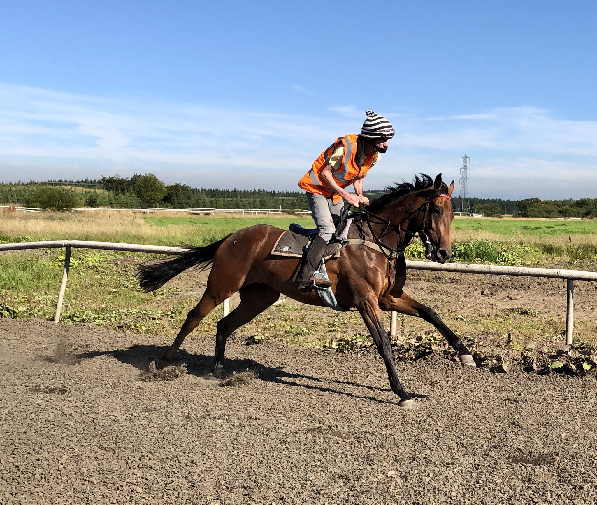 Jim Signorelli Racing Jim Goldie Racing on Twitter: