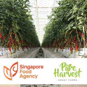 The <a href="/SGFoodAgency/">Singapore Food Agency (SFA)</a> and <a href="/PureHarvestSF/">Pure Harvest Smart Farms</a> recently announced they both signed an MOU to develop Singapore’s first high-tech hybrid greenhouse tomato farm: lnkd.in/ew7EETuN