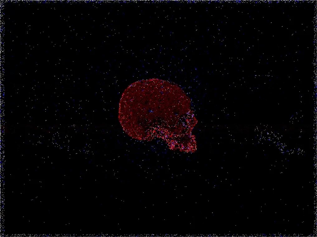 LordGalio tweet media