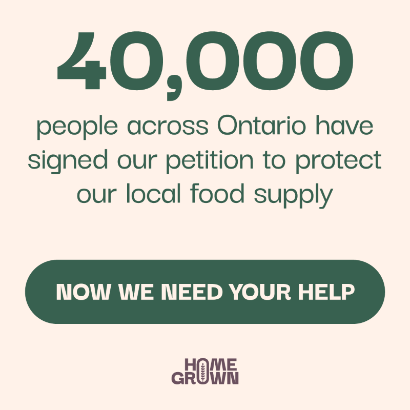 OntarioFarms's tweet photo. Once farmland is paved over, it’s gone forever. Help protect local, fresh, home grown food in Ontario before it’s too late.