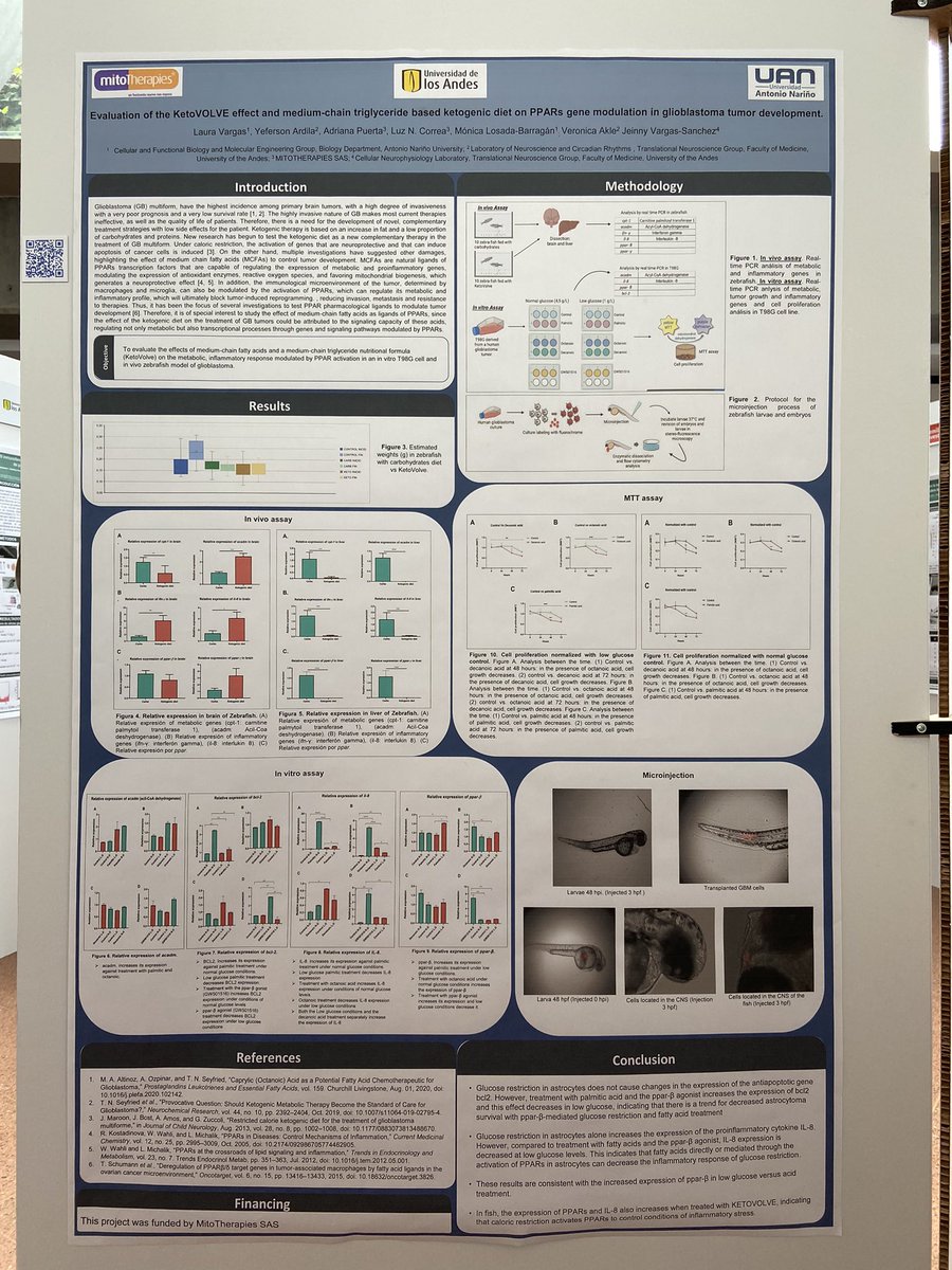 VeroAkle's tweet photo. Los posters del @circadianlab en el #IXECI. Gracias por el espacio de interacción y aprendizaje @MediUniandes https://t.co/dHiBKadj10