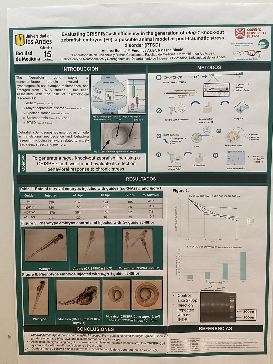 VeroAkle's tweet photo. Los posters del @circadianlab en el #IXECI. Gracias por el espacio de interacción y aprendizaje @MediUniandes https://t.co/dHiBKadj10