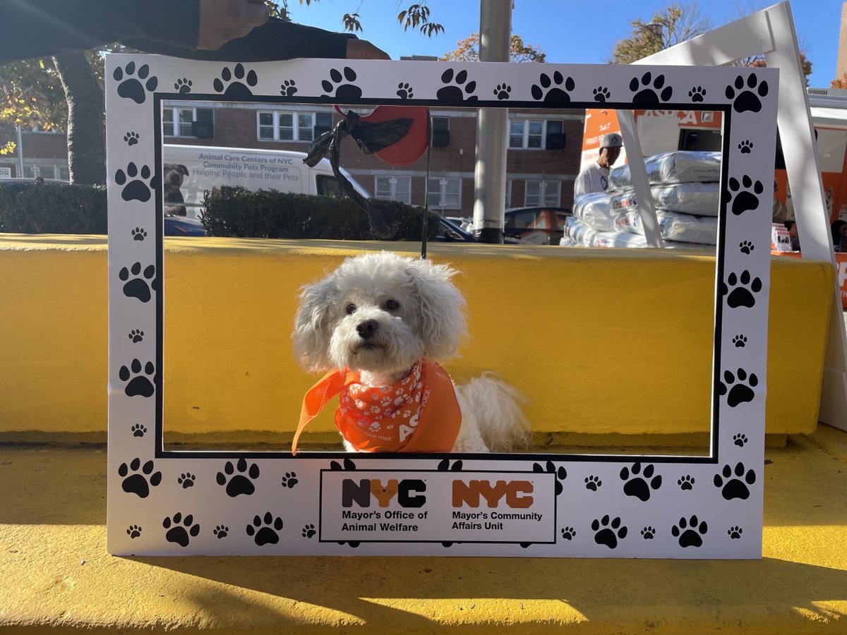 mayorsCAU's tweet photo. What a fur-bulous pet resource event in the #Bronx! @mayorsCAU & Mayor’s Office of #Animal Welfare Director partnered with @ASPCA, @nycacc, @nycHealthy, @PAWSny, Pups on the Runway, Zion’s Spot, Not On My Watch, #CJBC, @NYPDPSA8, @NYCHA, & @MMCCenter! Thank you! 🐶😺 https://t.co/r8QAqMv4xx