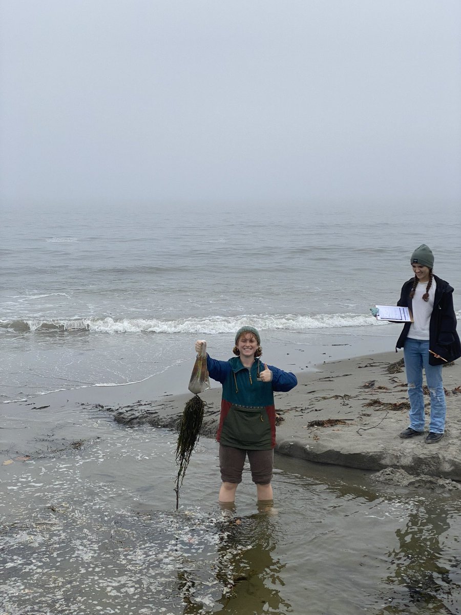 principal_fitz's tweet photo. A couple of weeks ago the Environmental Club sponsored a community service event where 26 PMHS volunteers students helped clean up York Beach in Maine. They picked up 24 pounds of trash, including 398 cigarette butts. https://t.co/lVG7VxZ3oI