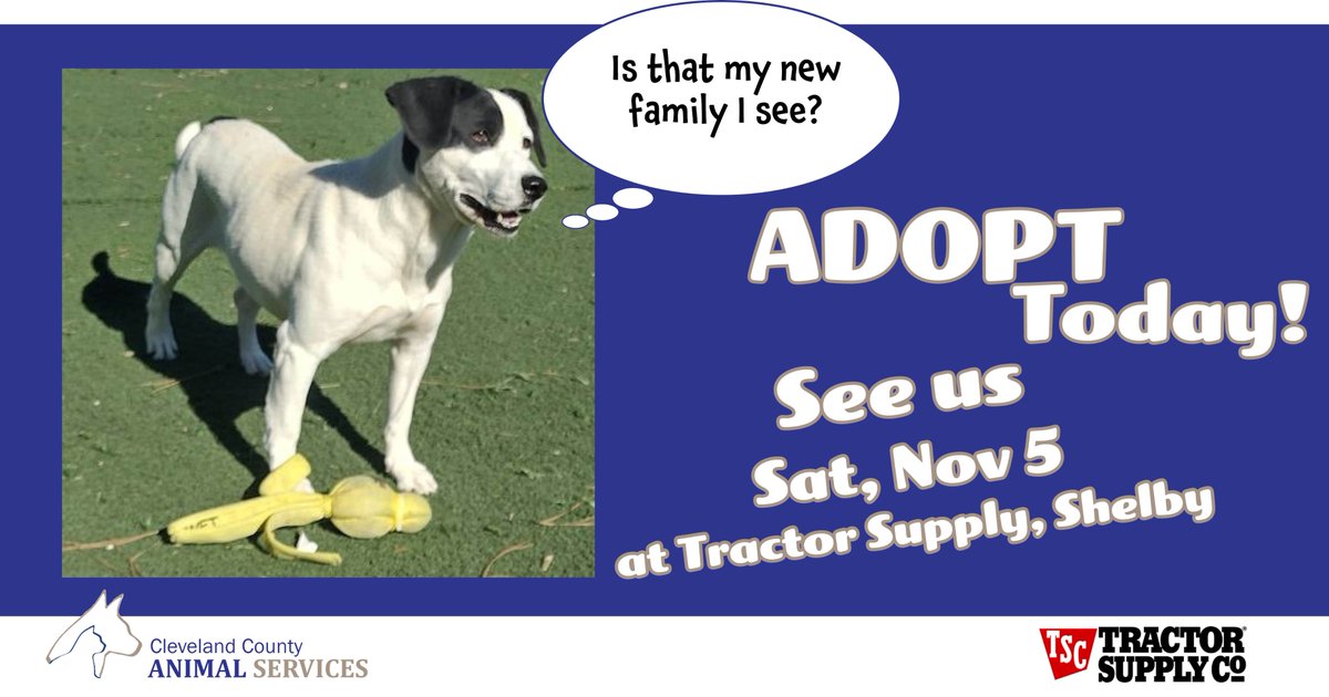 Cleveland County, NC tweet media