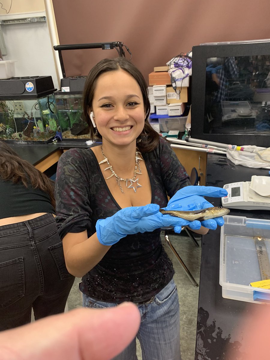 WillJacoway's tweet photo. Tagged our White Sea Bass with @HubbsResearch and @hubbsmikes yesterday. Time to get them ready for release next month #helixcharter https://t.co/sTWTO6aS6o