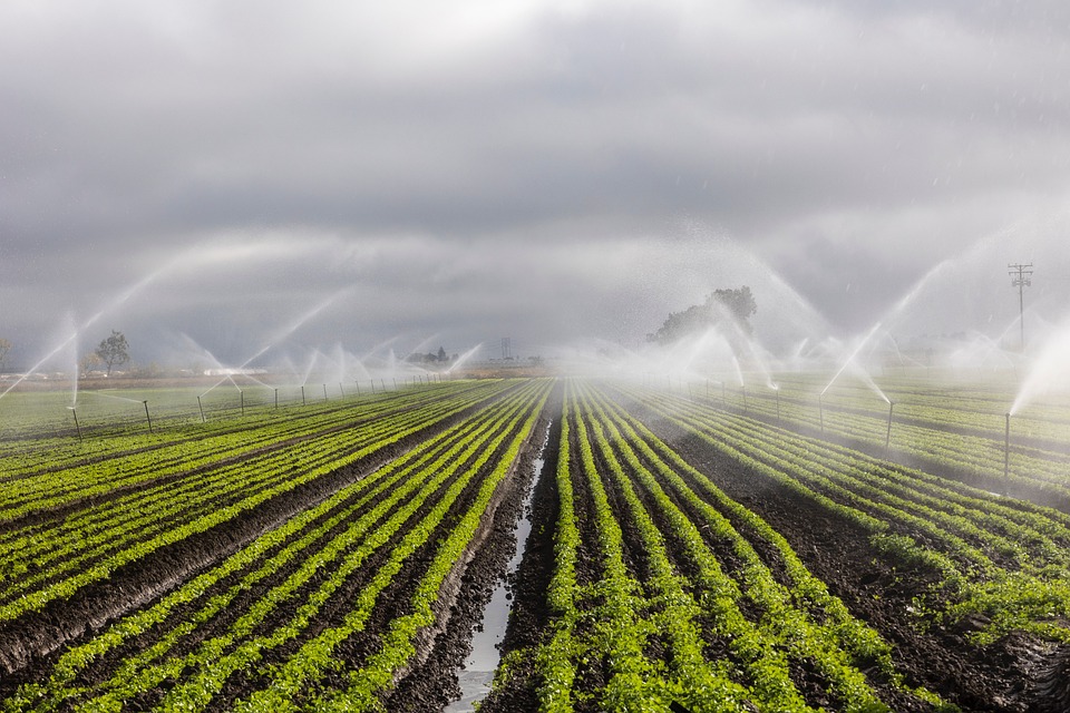 One of the benefits of #fertigation is its ability to provide #crops with nutrients through the rational use of #fertilisers by dosing them in the #irrigation water.

lnkd.in/eYHTRzn2