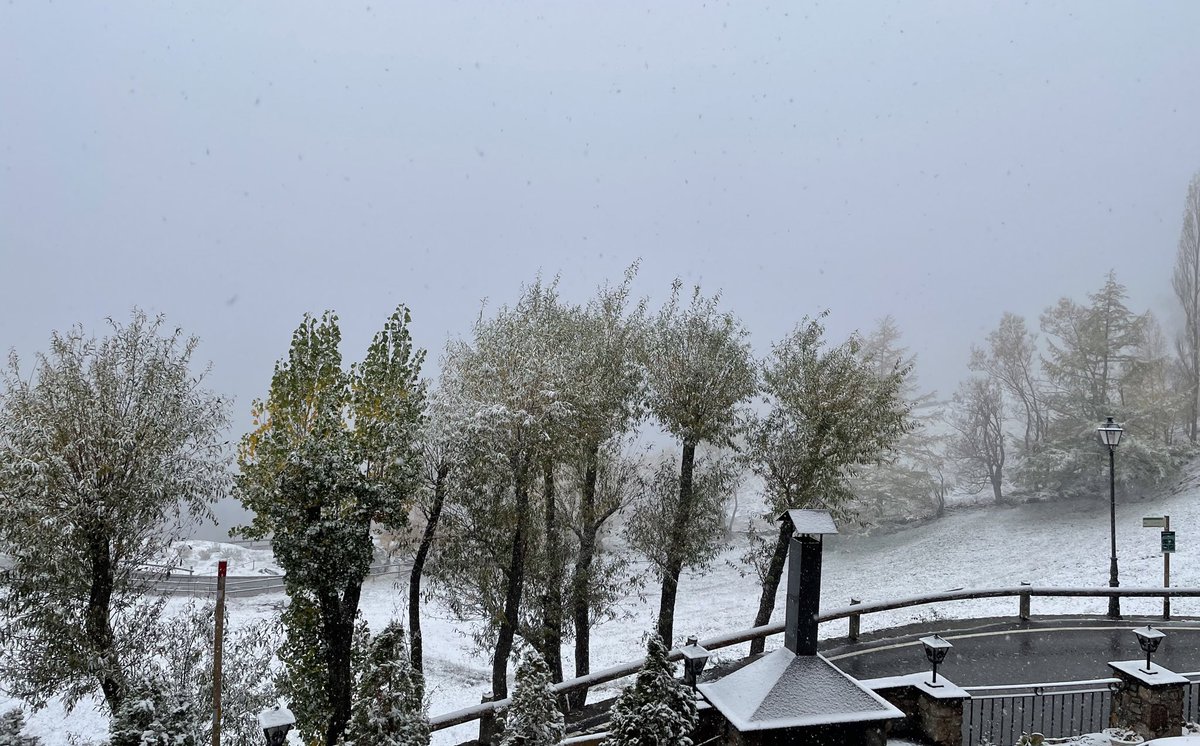 Tot i que afluixa la intensitat de la primera nevada❄️d’aquesta tardor🍁podem gaudir d’aquest preciós paisatge hivernal havent deixat, pel moment, uns 3cm de neu a 1800m amb una 🌡de -1 grau. #Andorra #projecte4estacions #visualmeteo