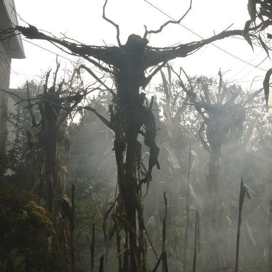 ccstraction's tweet image. ◯⠀﹒⠀ ◍⠀﹒⠀' Podcasts que pueden interesarte si te gusta el terror, misterio, crímen, conspiración y las teorías '