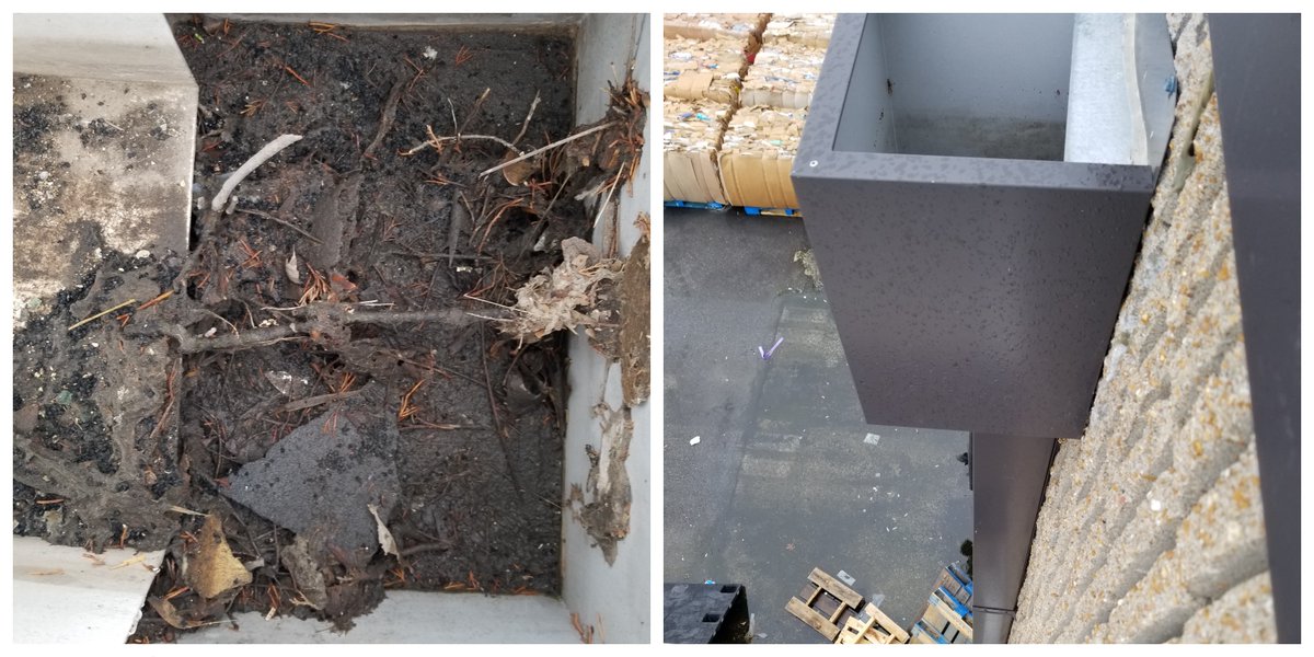 ASRMOLLC's tweet image. Happy Friday!
Without proper maintenance, drains become clogged after years of build-up leading to water overflowing into the building between the gutter and wall.
Don’t have time, give us a call at 573-634-2241.
We Have YOU Covered. 

#roofproblems    #roofexperts  #jcmo
