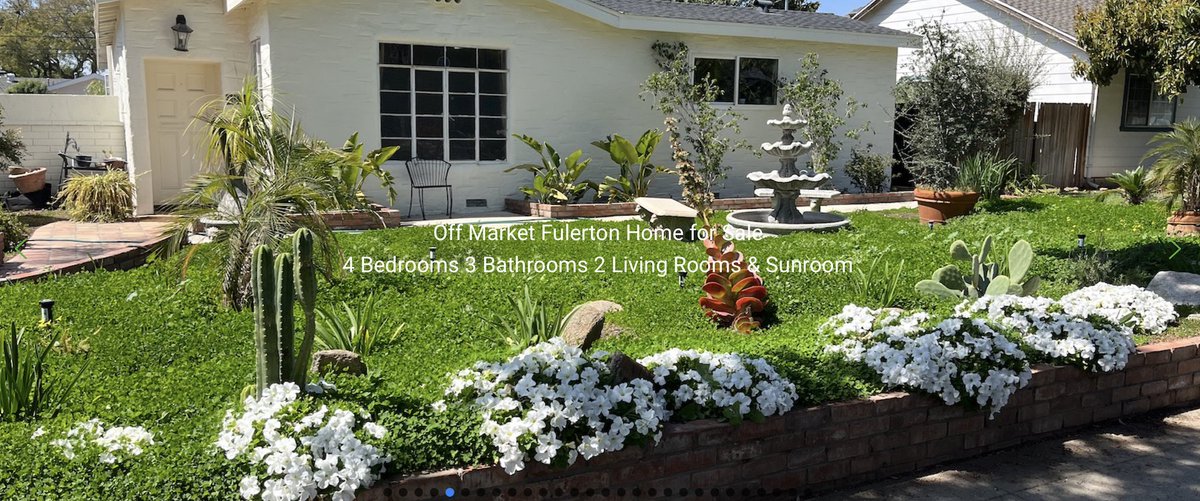 JoyGardens's tweet photo. Mini Clover Lawn Alternative stays bright green without fertilizer and excessive water. No mowing! Home featured on https://t.co/NdyLNtKDbP https://t.co/yo0AivvZM8