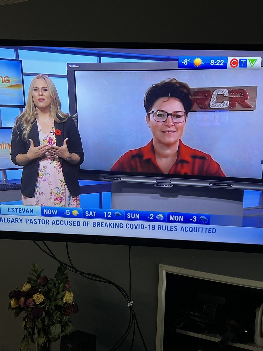 Regina Chip Repair tweet media