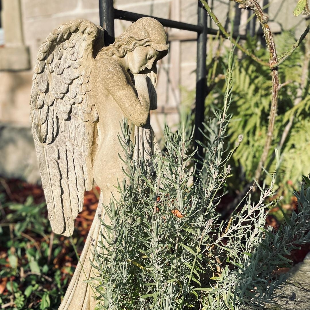 kosmo2035's tweet photo. Entdeckt beim Spaziergang durch den Schlossgarten 🥰⁠
⁠
#kosmosophia #kosmosophia2035 #spiritualitaet #kosmos #transfigurationsfeld #transfiguration #intensiv #workshop #schloss #wasmuthhausen #maroldsweisach #coburgerland #meditation #yoga #natur #liebe #schlossgarten #garten https://t.co/v3ea1EYWww