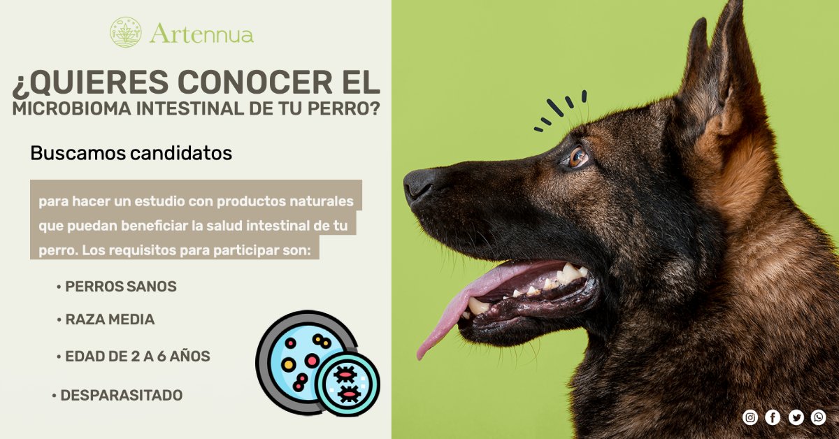 ARTENNUA® tweet media