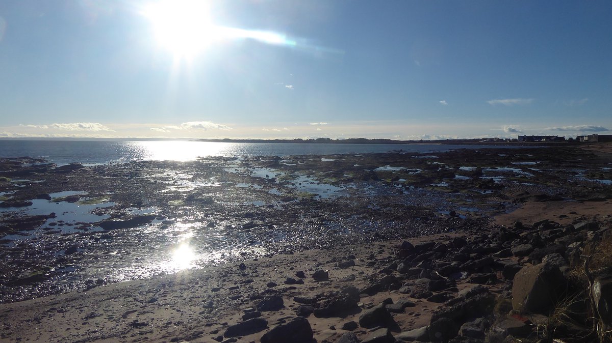 UnicornUnbound's tweet photo. My second dander along to Westhaven recently, while waiting for a negative Covid test to appear on the horizon - the mouth of the river is fair busy. #Day11 #Westhaven #FirthOfTay #riverscapes #NorthSea https://t.co/ArPTLfC5ZU