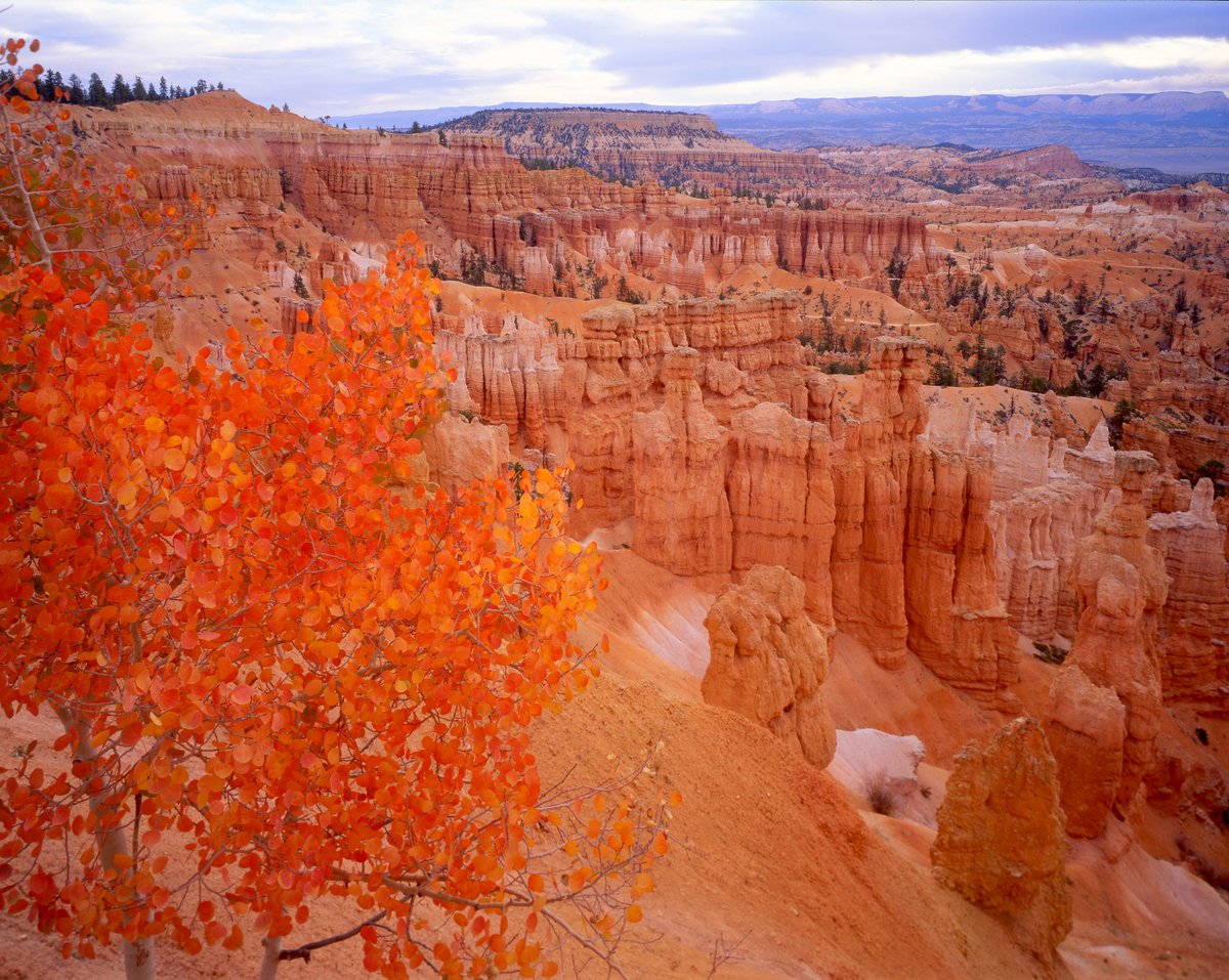 Bryce Canyon Country tweet media