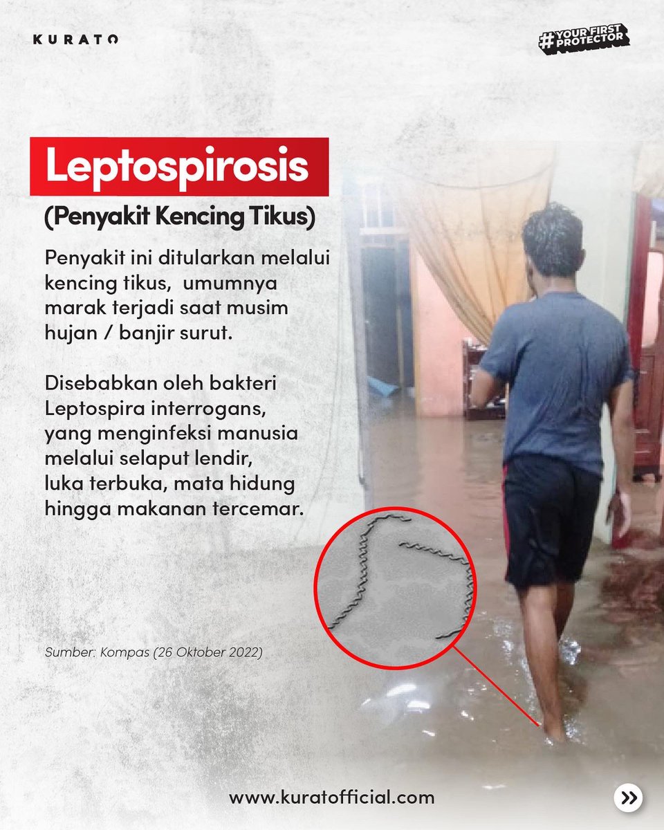KuratoIndonesia's tweet photo. HOT NEWS!!
Baru bulan lalu pak kasusnya, waspada dan jaga baik2 keluarga tercinta ya pak!!
#bebastikus
#Kurato #basmitikus #Tikus #kencingtikus💊💊 #racuntikusampuh #leptospirosis #hotnews https://t.co/NUz3m2y7Fq