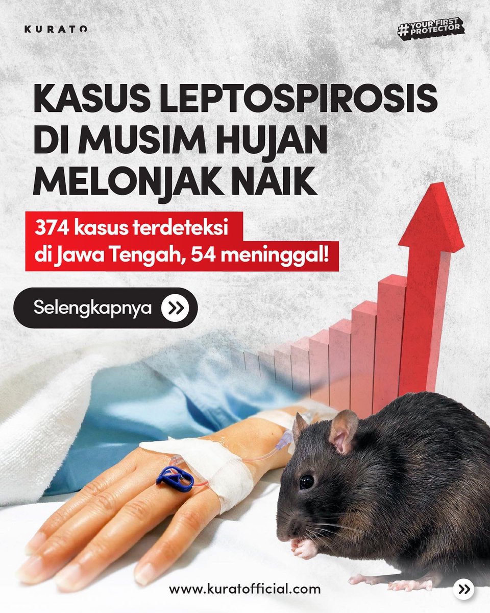 KuratoIndonesia's tweet photo. HOT NEWS!!
Baru bulan lalu pak kasusnya, waspada dan jaga baik2 keluarga tercinta ya pak!!
#bebastikus
#Kurato #basmitikus #Tikus #kencingtikus💊💊 #racuntikusampuh #leptospirosis #hotnews https://t.co/NUz3m2y7Fq