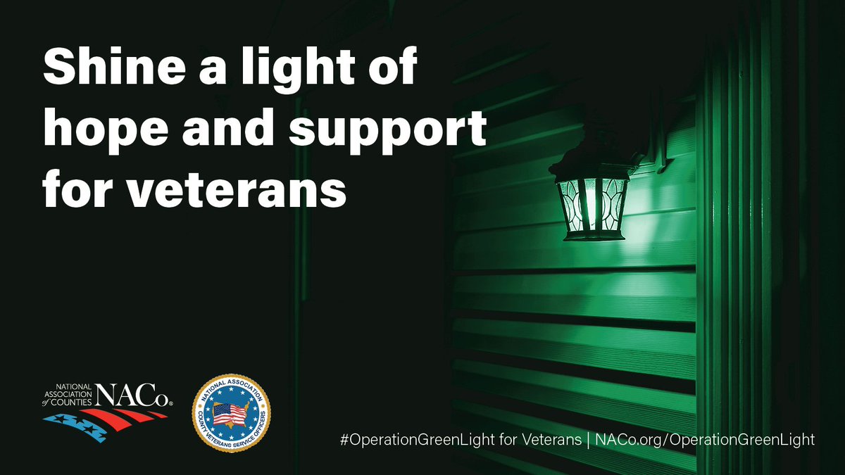 Stanly County on X: This #VeteransDay, join us in shining a light of hope  and support. Join #OperationGreenLight & let's turn Stanly County green for  our veterans.  / X