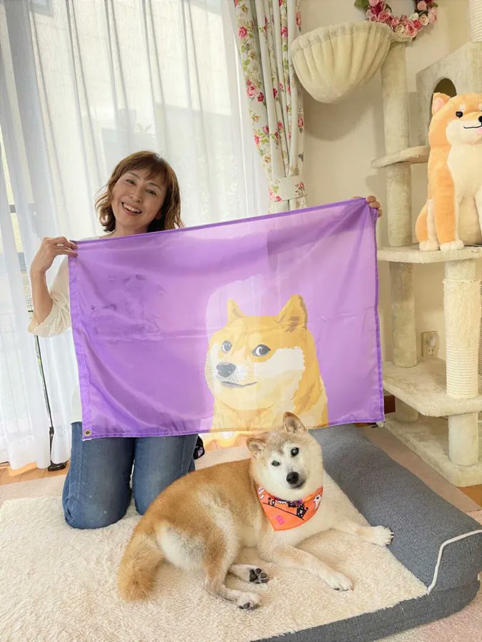 Hejtopl's tweet photo. Użytkowniczka Nebthtet podzieliła się ciekawostką na Hejto "Kabosu - shiba inu będący "twarzą" znanego i lubianego mema, a także inspiracją dla dogecoina pierwszego listopada skończył 17 lat. Na szczęście ma się dobrze" 

https://t.co/B9WIL9AgBT 

#hejto #ciekawostki #meme #shiba https://t.co/CoCfbpWWCV
