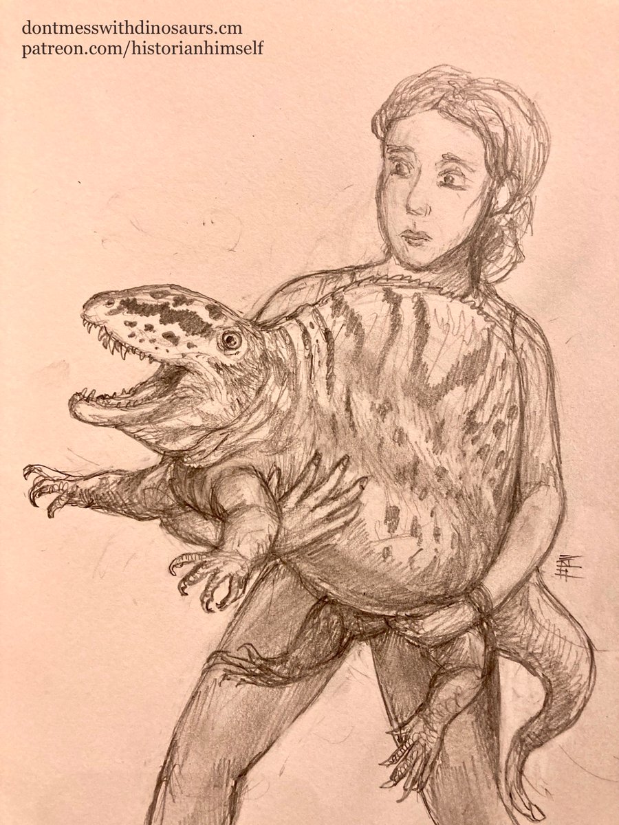 Listen idk how this info will help you, but i do feel it's important for ppl to know that there were smol species of #Dimetrodon that lived in the mountains & were only about the size of a chunky lil pitbull (around 25kg {55 lbs}).

#permian #paleoart #2022SVP