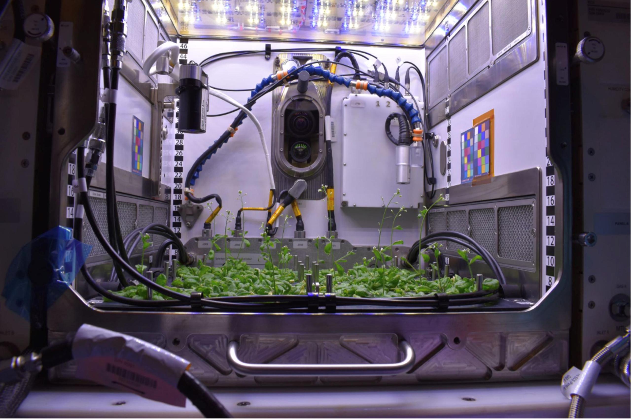 international-space-station-on-twitter-the-astronauts-have-been