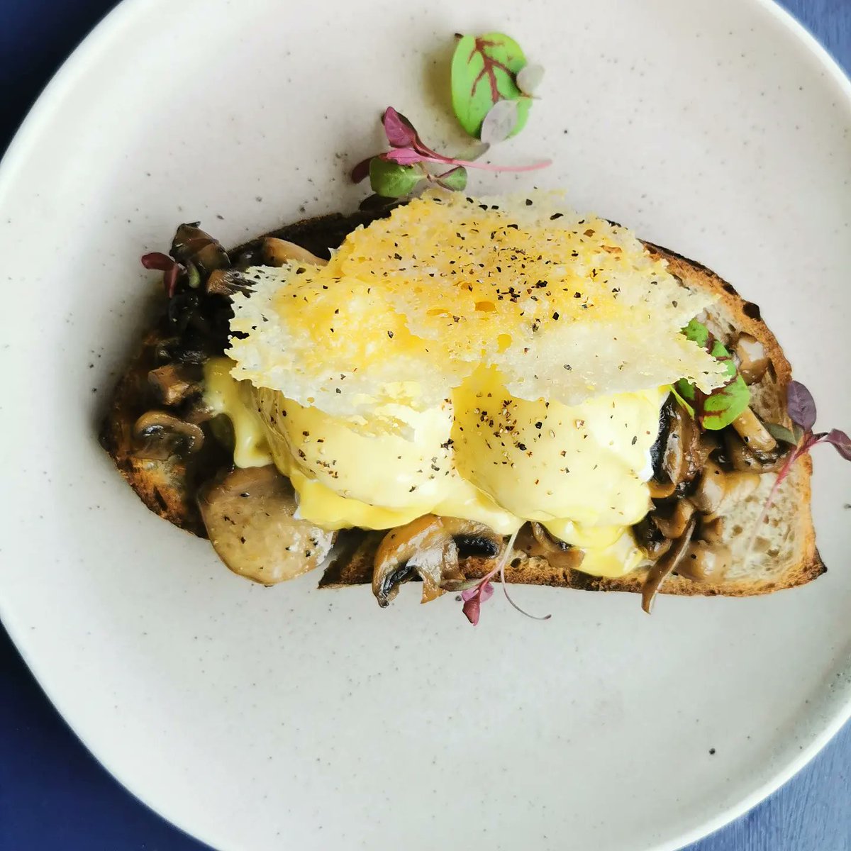 StarfishAndCafe's tweet photo. Our Wild Mushroom Benedict has been a winner since it went on the menu in September.

The mix of wild mushrooms, truffle hollandaise, crispy parmesan, @HolmansbridgeF poached eggs and @FlourPot_Bakery sourdough is just irresistible.

Give it a go this weekend.

#brunchlikeaboss https://t.co/jEv2HxQbVV