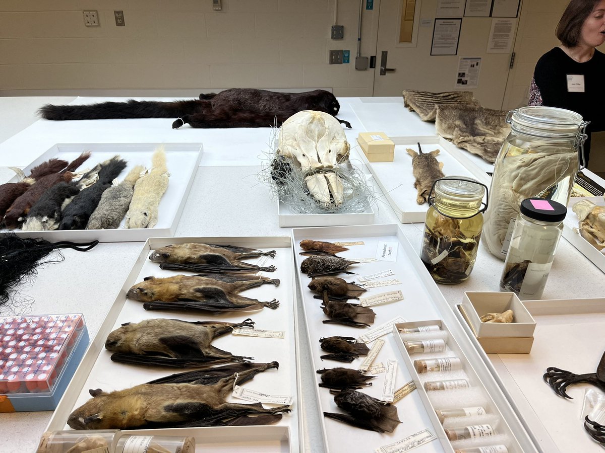 Dr Ellen Coombs tweet media