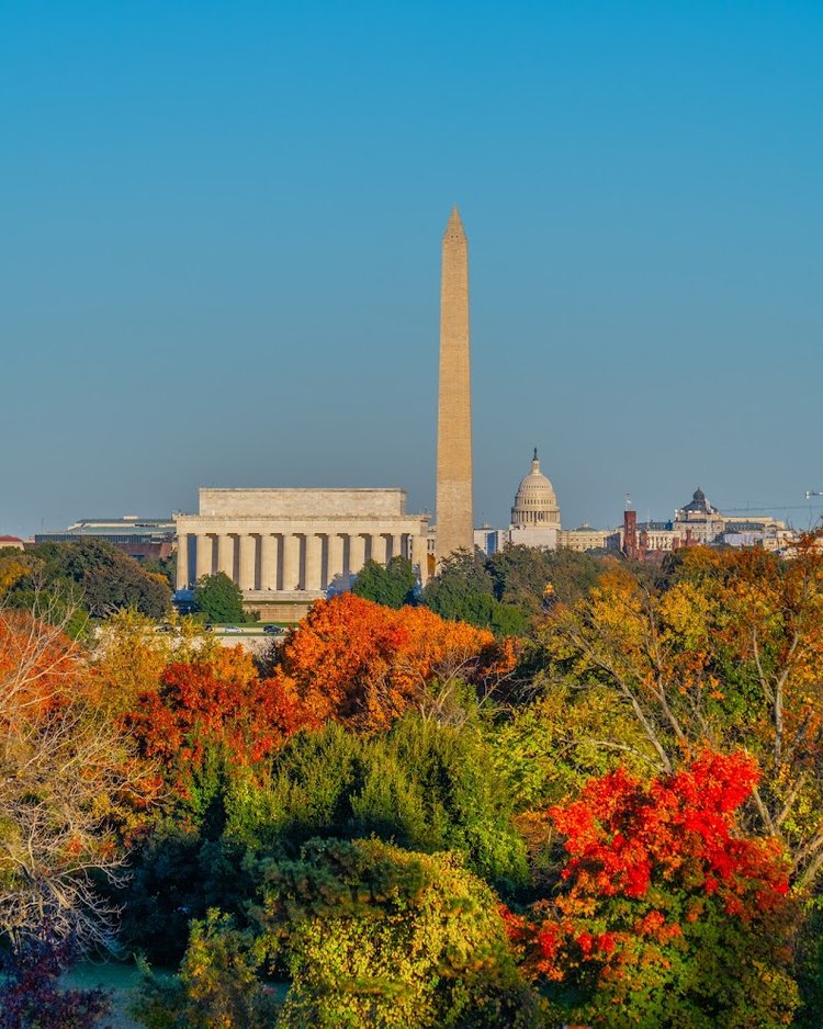 TheNationalMall's tweet photo. Leaves turn and the cameras come out... 🍂📸

It doesn't get better than #FallOnTheMall—except maybe an entire photo album dedicated to the season! Click the link below to see all the beautiful fall foliage from some talented #NationalMall shutterbugs! 
👉https://t.co/Nq7zMoECoQ https://t.co/Fq2R2yLPDL