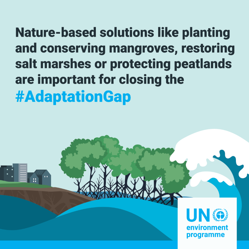UNEP's tweet photo. Nature-based solutions can provide effective ways to adapt to the increasing impacts of the #ClimateCrisis.

More info in the 2022 UNEP #AdaptationGap report: https://t.co/yyBKAlJgBd https://t.co/rKHeRsLGNe