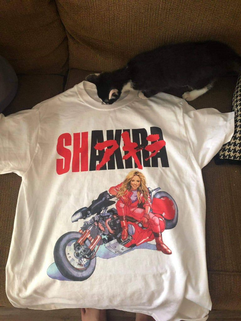 InternetH0F's tweet photo. i’m wearing this to my funeral https://t.co/eBovRWjiXX