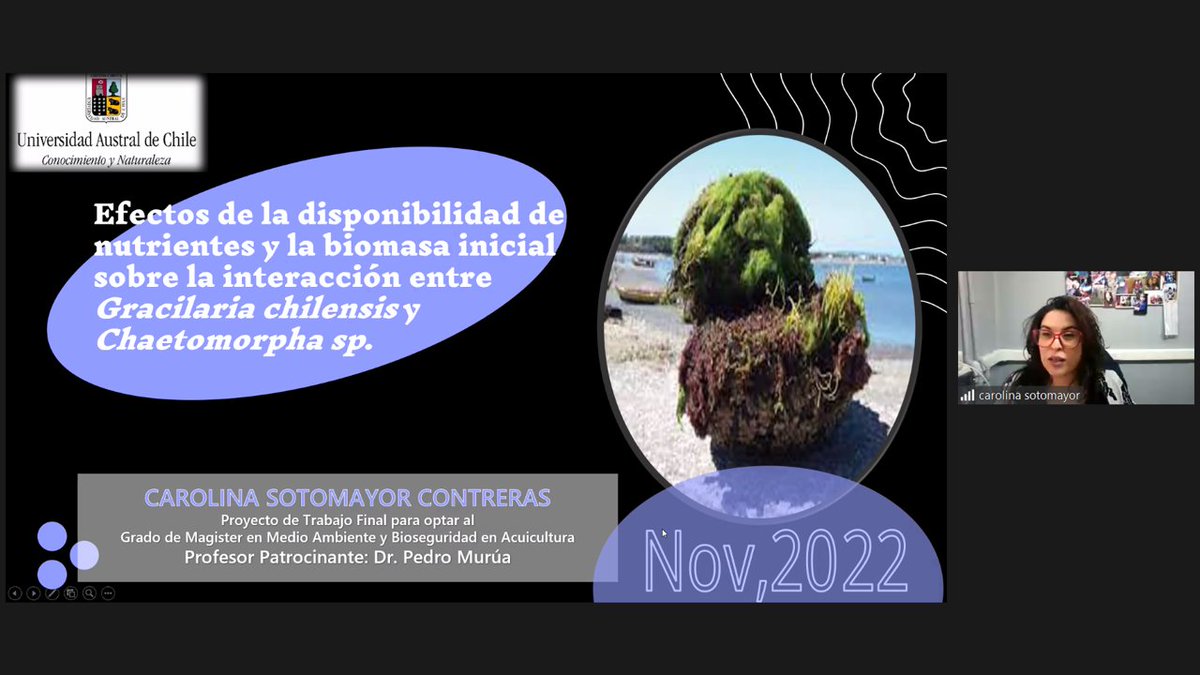 El dia de hoy nuestra alumna <a href="/MabaUach/">Mg. en Medio Ambiente y Bioseguridad Acuicultura</a> Carolina Sotomayor, perteneciente a <a href="/ifop_periodista/">Prensa  IFOP</a>, defendió exitosamente su anteproyecto de trabajo final sobre el impacto de macronutrientes en el el alga de cultivo Gracilaria y una de sus pestes Chaetomorpha. Felicidades Carolina!